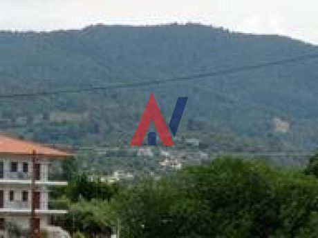 Αγροτεμάχια 5.800τ.μ. για πώληση-Σιθωνία » Νέος μαρμαράς
