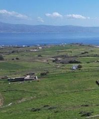 Οικόπεδο 8.010 τ.μ. για πώληση