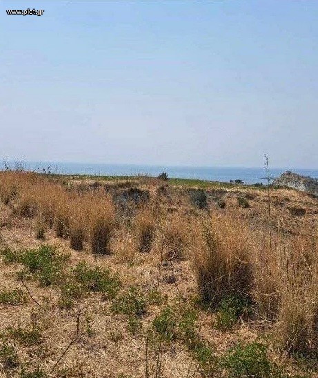 Οικόπεδο 8.034 τ.μ. προς πώληση, Ν. Κεφαλονιάς, Κεφαλονιά