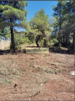 Οικόπεδο 2.100τ.μ. για πώληση-Αφίδνες
