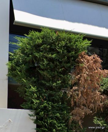 Μεζονέτα 135 τ.μ. για πώληση, Αθήνα - Νότια Προάστια, Βουλιαγμένη