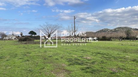 Parcel 5.140sqm for sale-Toroni » Paralia Sikias