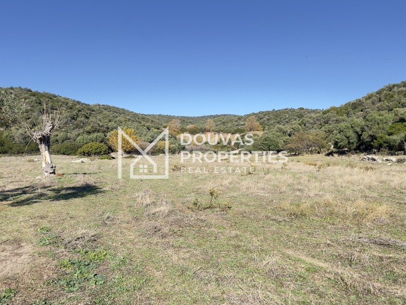 Οικόπεδο 4.780 τ.μ. πρός πώληση, Χαλκιδική, Τορώνη