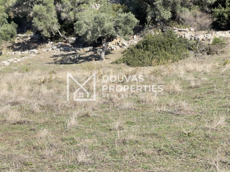 Οικόπεδο 4.780 τ.μ. πρός πώληση, Χαλκιδική, Τορώνη