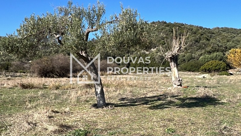 Οικόπεδο 4.780 τ.μ. πρός πώληση, Χαλκιδική, Τορώνη