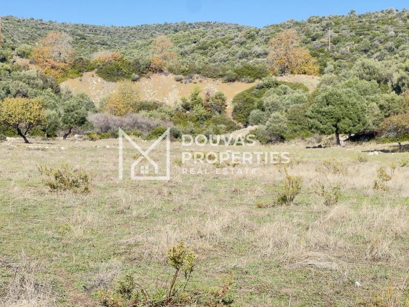Οικόπεδο 4.780 τ.μ. πρός πώληση, Χαλκιδική, Τορώνη
