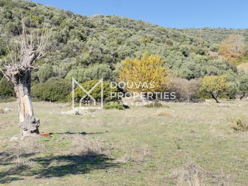 Οικόπεδο 4.780 τ.μ. πρός πώληση, Χαλκιδική, Τορώνη