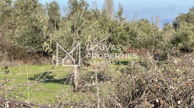 Land plot 6.250 sqm for sale, Chalkidiki, Toroni