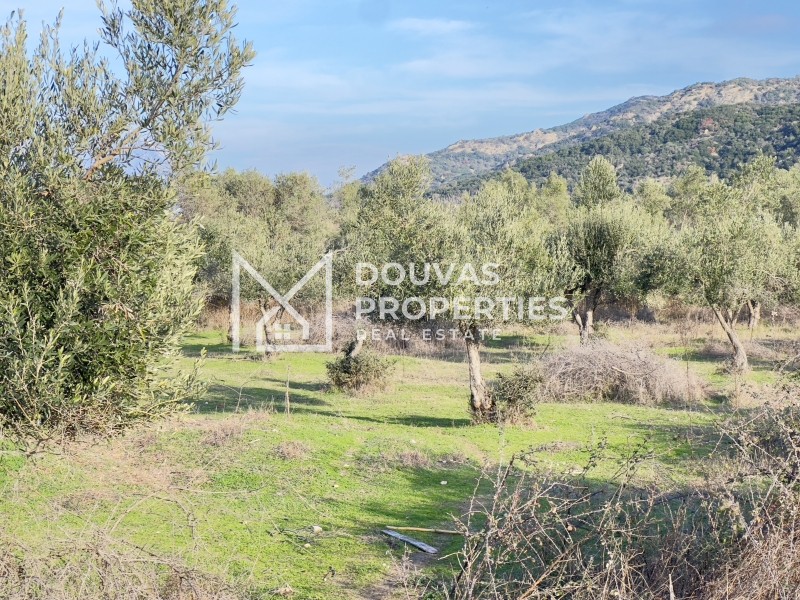 Οικόπεδο 6.250 τ.μ. πρός πώληση, Χαλκιδική, Τορώνη