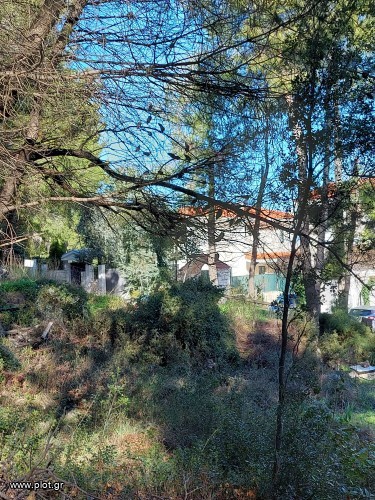 Οικόπεδο 1.530 τ.μ. προς πώληση, Κέντρο Διονύσου