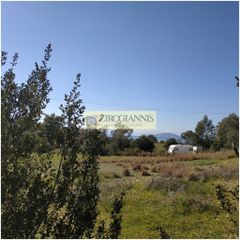Αγροτεμάχια 6.290 τ.μ. προς πώληση, Λάκκες Κρανιδίου-thumb-2