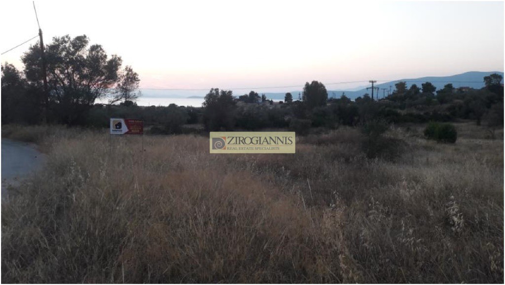 Αγροτεμάχια 6.290 τ.μ. προς πώληση, Λάκκες Κρανιδίου