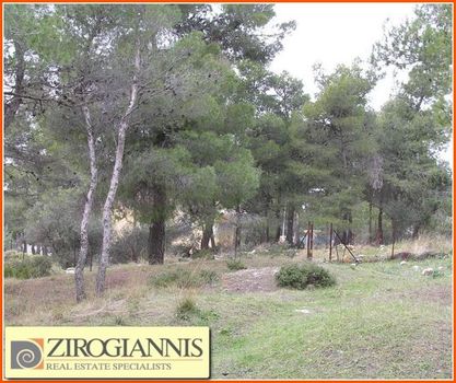 Οικόπεδο 1.650τ.μ. για πώληση-Σταμάτα