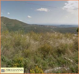 Οικόπεδο 1.300 τ.μ. για πώληση