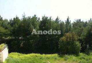 Οικόπεδο 551 τ.μ. για πώληση