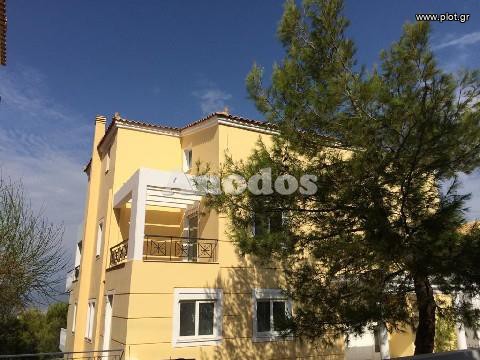 Μονοκατοικία 786 τ.μ. προς πώληση, Πολιτεία