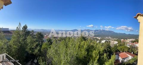 Μονοκατοικία 786 τ.μ. προς πώληση, Πολιτεία