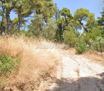 Οικόπεδο 2.500τ.μ. για πώληση-Νέα ερυθραία » Καστρί