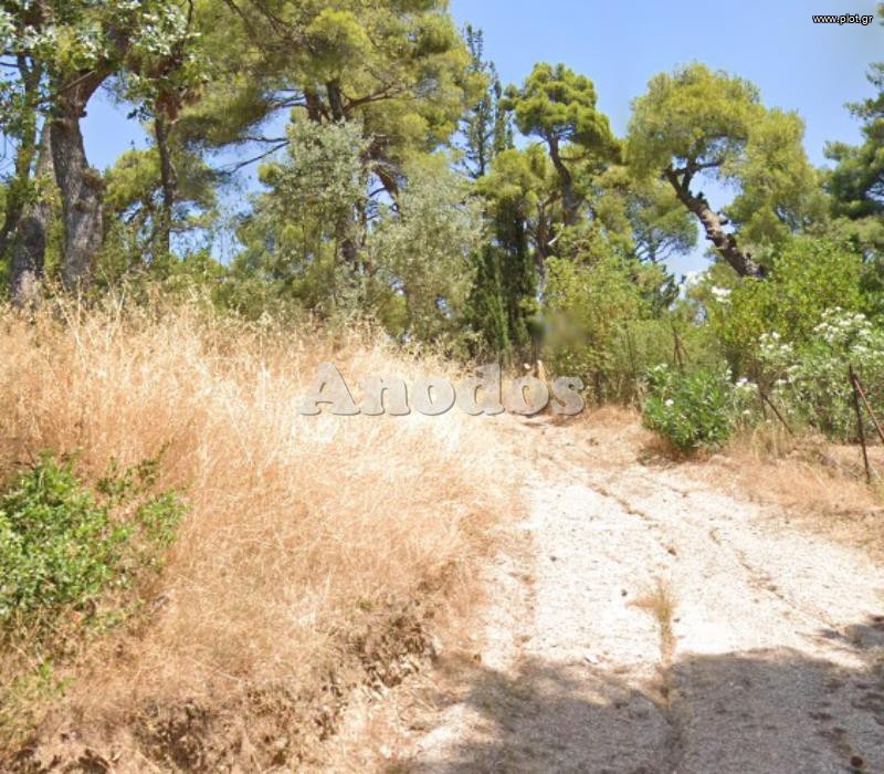 Οικόπεδο 2.500 τ.μ. προς πώληση, Καστρί Νέας Ερυθραίας