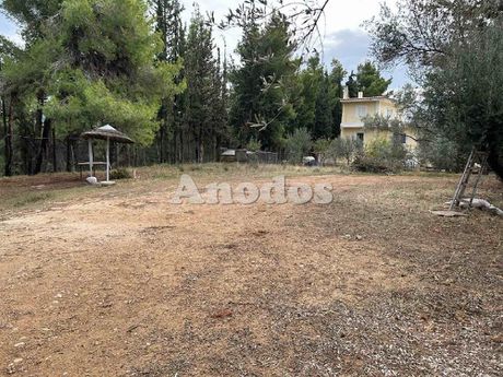 Μονοκατοικία 310τ.μ. για πώληση-Κρυονέρι » Κέντρο
