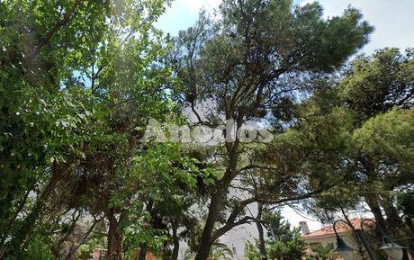Οικόπεδο 878τ.μ. για πώληση-Κρυονέρι » Κέντρο
