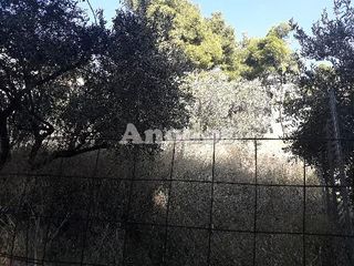 Οικόπεδο 630 τ.μ. πρός πώληση