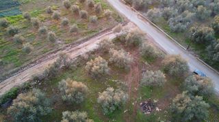 Οικόπεδο 5.152 τ.μ. για πώληση, Μεσσηνία, Φιλιατρά-thumb-6