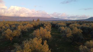 Οικόπεδο 5.152 τ.μ. για πώληση, Μεσσηνία, Φιλιατρά-thumb-4