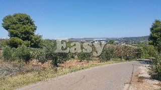 Οικόπεδο 8.890 τ.μ. για πώληση