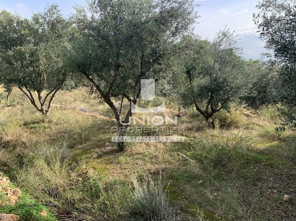 Οικόπεδο 573 τ.μ. για πώληση, Αθήνα - Δυτικά Προάστια, Καματερό