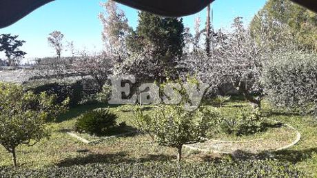 Διαμέρισμα 56τ.μ. για πώληση-Καλύβια θορικού » Λαγονήσι