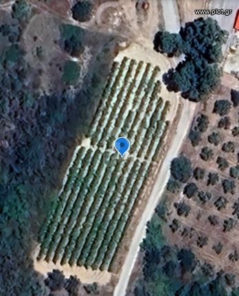 Οικόπεδο 1.988 τ.μ. για πώληση, Κορινθία, Βέλο