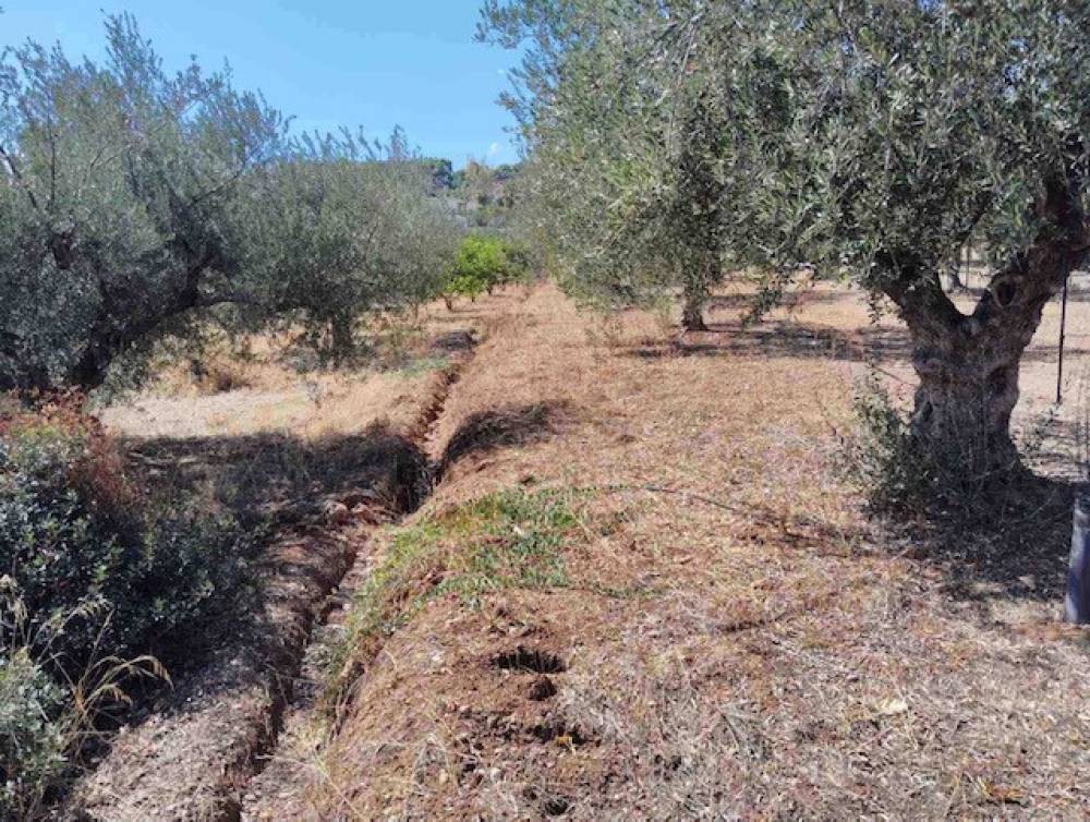 Οικόπεδο 4.381 τ.μ. πρός πώληση, Κορινθία, Σικυώνα