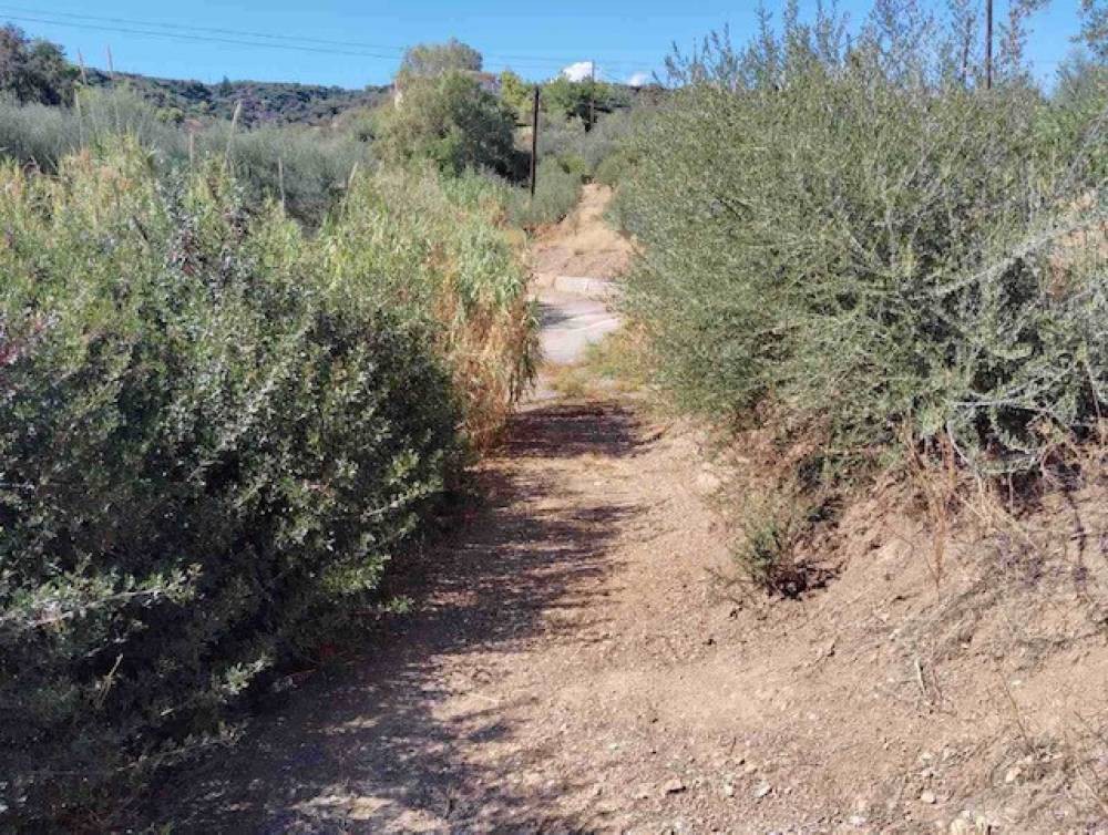 Οικόπεδο 4.381 τ.μ. πρός πώληση, Κορινθία, Σικυώνα