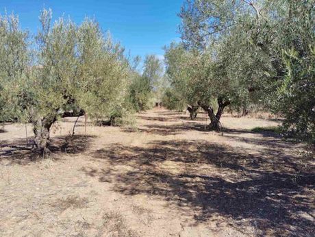 Οικόπεδο 4.381τ.μ. για πώληση-Σικυώνα » Βαλτσαίικα