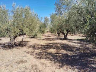 Οικόπεδο 4.381 τ.μ. για πώληση