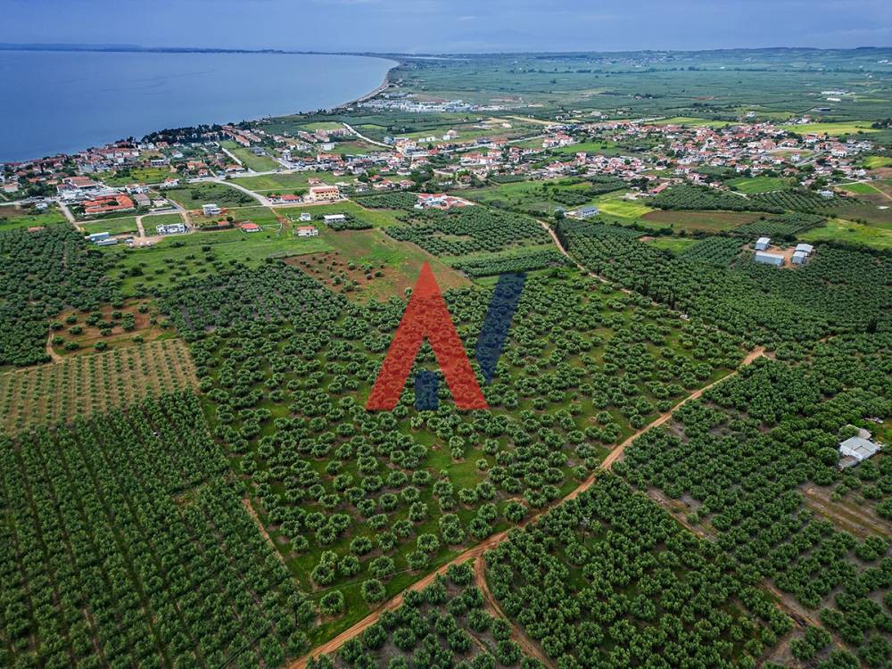 Αγροτεμάχια 50.800 τ.μ. πρός πώληση, Χαλκιδική, Πολύγυρος