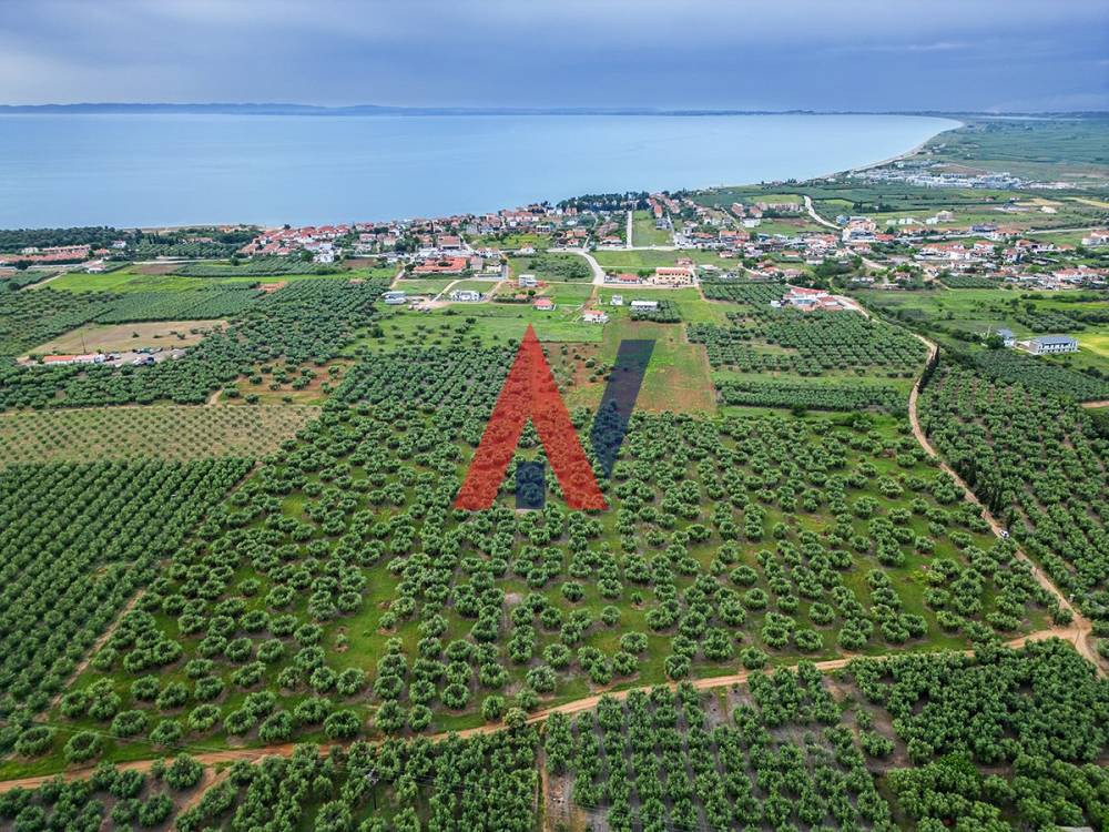 Αγροτεμάχια 50.800 τ.μ. πρός πώληση, Χαλκιδική, Πολύγυρος