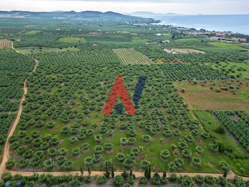 Αγροτεμάχια 50.800 τ.μ. πρός πώληση, Χαλκιδική, Πολύγυρος