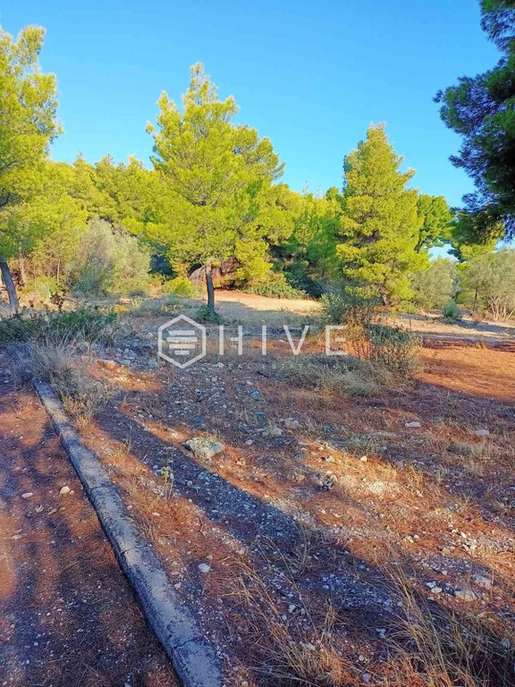Οικόπεδο 1.257 τ.μ. πρός πώληση, Φθιώτιδας, Μαλεσίνα