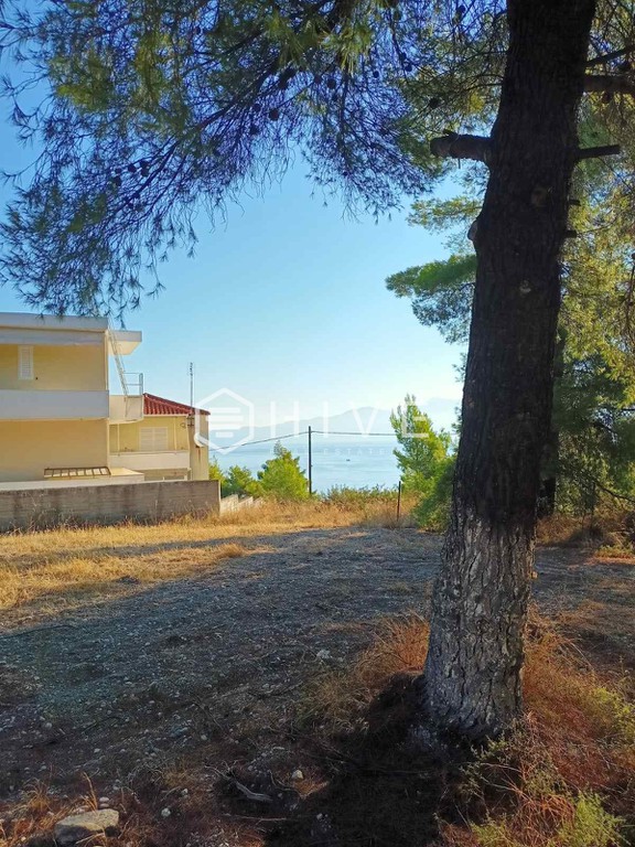 Οικόπεδο 1.257 τ.μ. πρός πώληση, Φθιώτιδας, Μαλεσίνα
