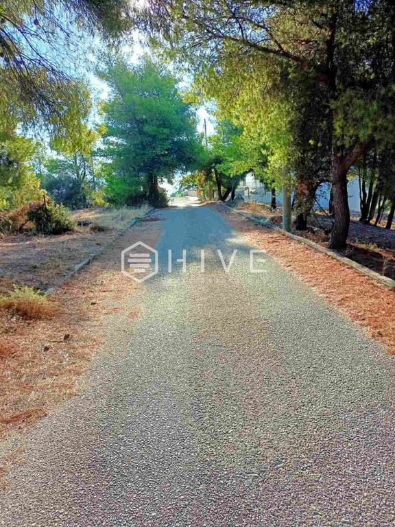 Οικόπεδο 1.257 τ.μ. πρός πώληση, Φθιώτιδας, Μαλεσίνα