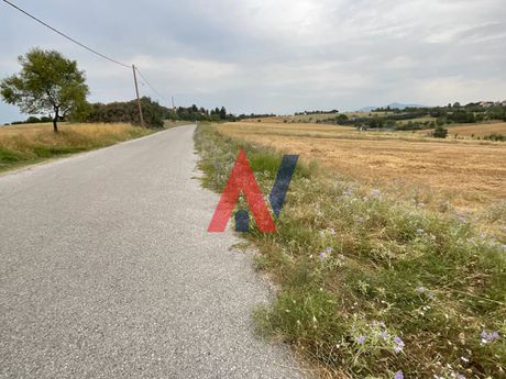 Αγροτεμάχια 19.000 τ.μ. για πώληση