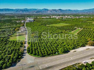 Αγροτεμάχια 8.593 τ.μ. για πώληση, Αργολίδα, Μιδέα-thumb-16