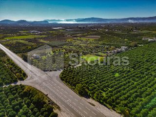 Αγροτεμάχια 8.593 τ.μ. για πώληση, Αργολίδα, Μιδέα-thumb-23