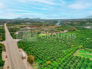 Αγροτεμάχια 8.593 τ.μ. για πώληση, Αργολίδα, Μιδέα-thumb-7