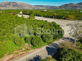 Αγροτεμάχια 8.593 τ.μ. για πώληση, Αργολίδα, Μιδέα-thumb-17
