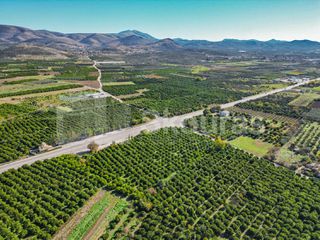 Αγροτεμάχια 8.593 τ.μ. για πώληση, Αργολίδα, Μιδέα-thumb-13