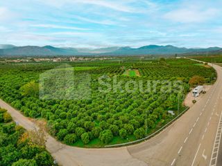 Αγροτεμάχια 8.593 τ.μ. για πώληση, Αργολίδα, Μιδέα-thumb-24