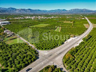 Αγροτεμάχια 8.593 τ.μ. για πώληση, Αργολίδα, Μιδέα-thumb-14